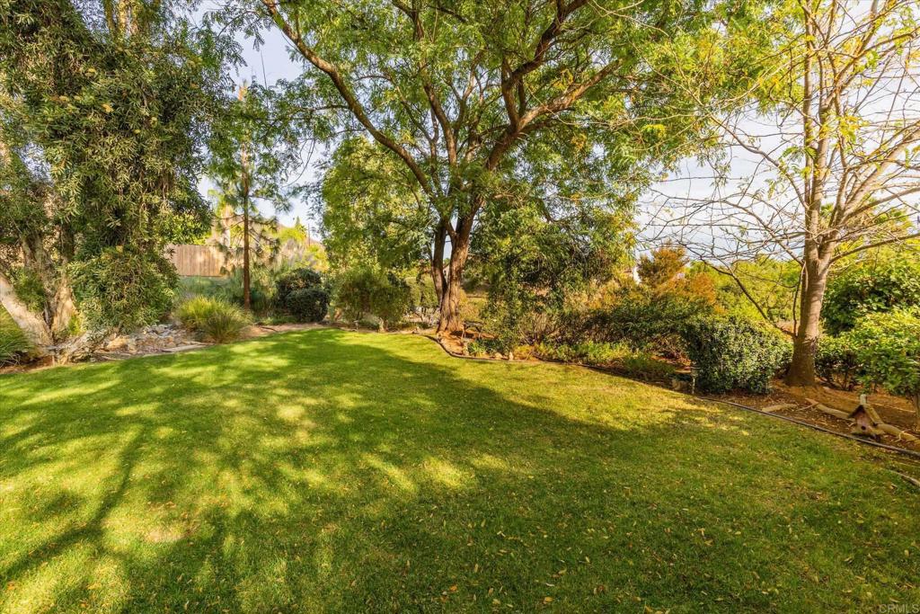 16350 Open View Road Ramona, CA 92065 - Photo 35 of 45 a view of yard with large trees