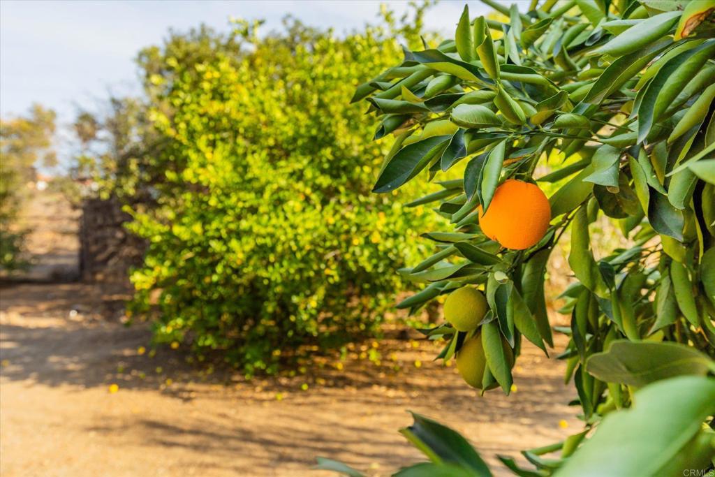 16350 Open View Road Ramona, CA 92065 - Photo 39 of 45