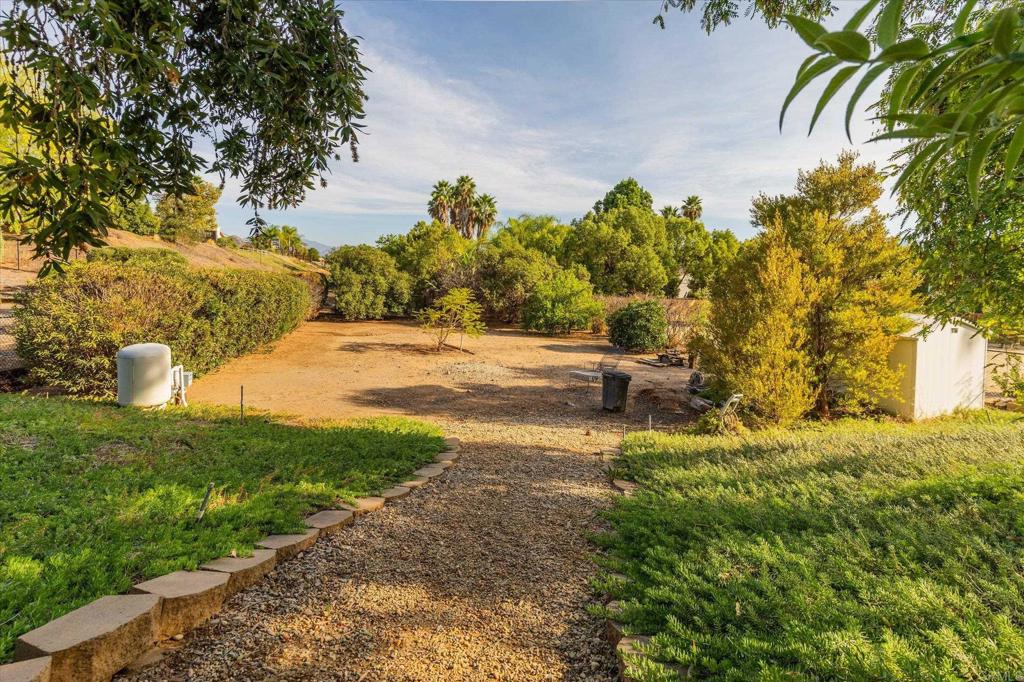 16350 Open View Road Ramona, CA 92065 - Photo 40 of 45 a view of a yard with plants and large trees