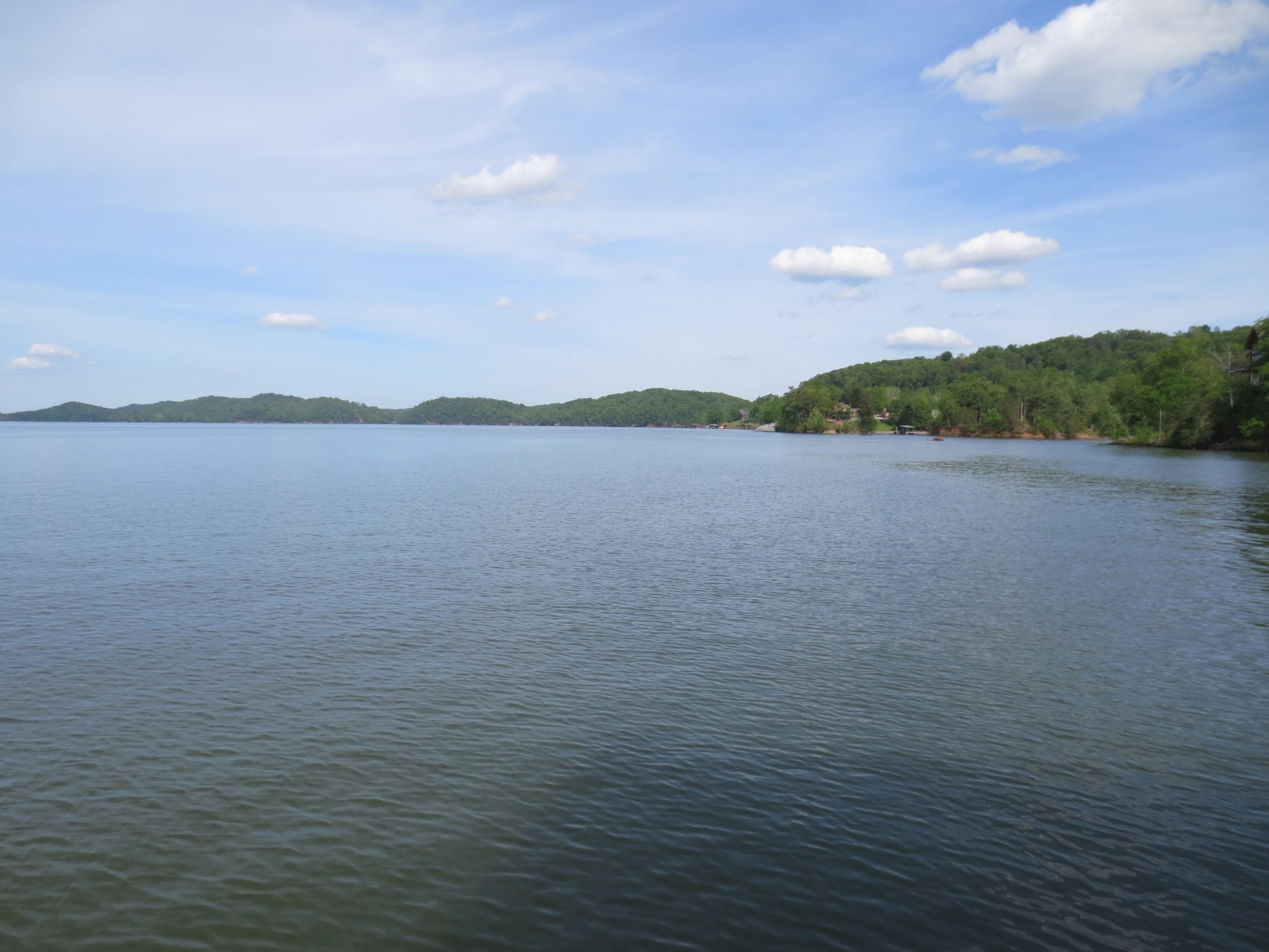 124 Ottawa Point Ten Mile, TN 37880 - Photo 11 of 23