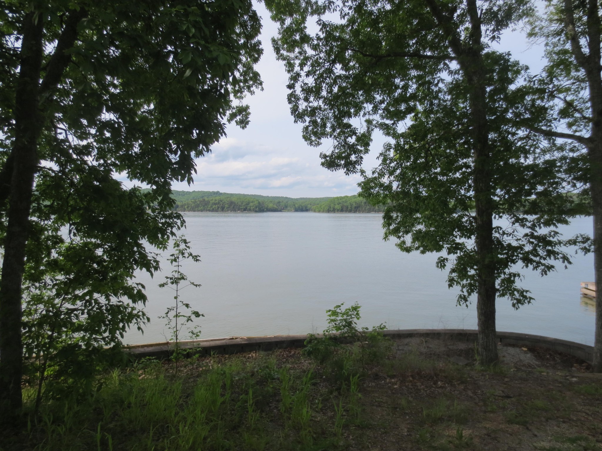 124 Ottawa Point Ten Mile, TN 37880 - Photo 22 of 23