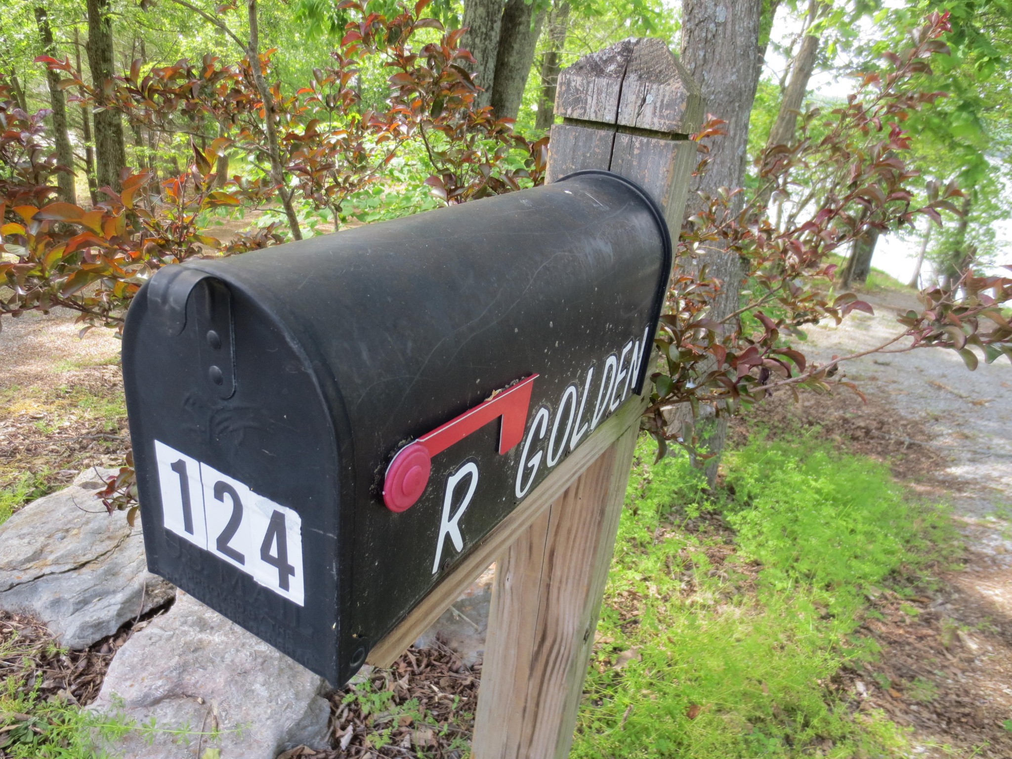 124 Ottawa Point Ten Mile, TN 37880 - Photo 23 of 23