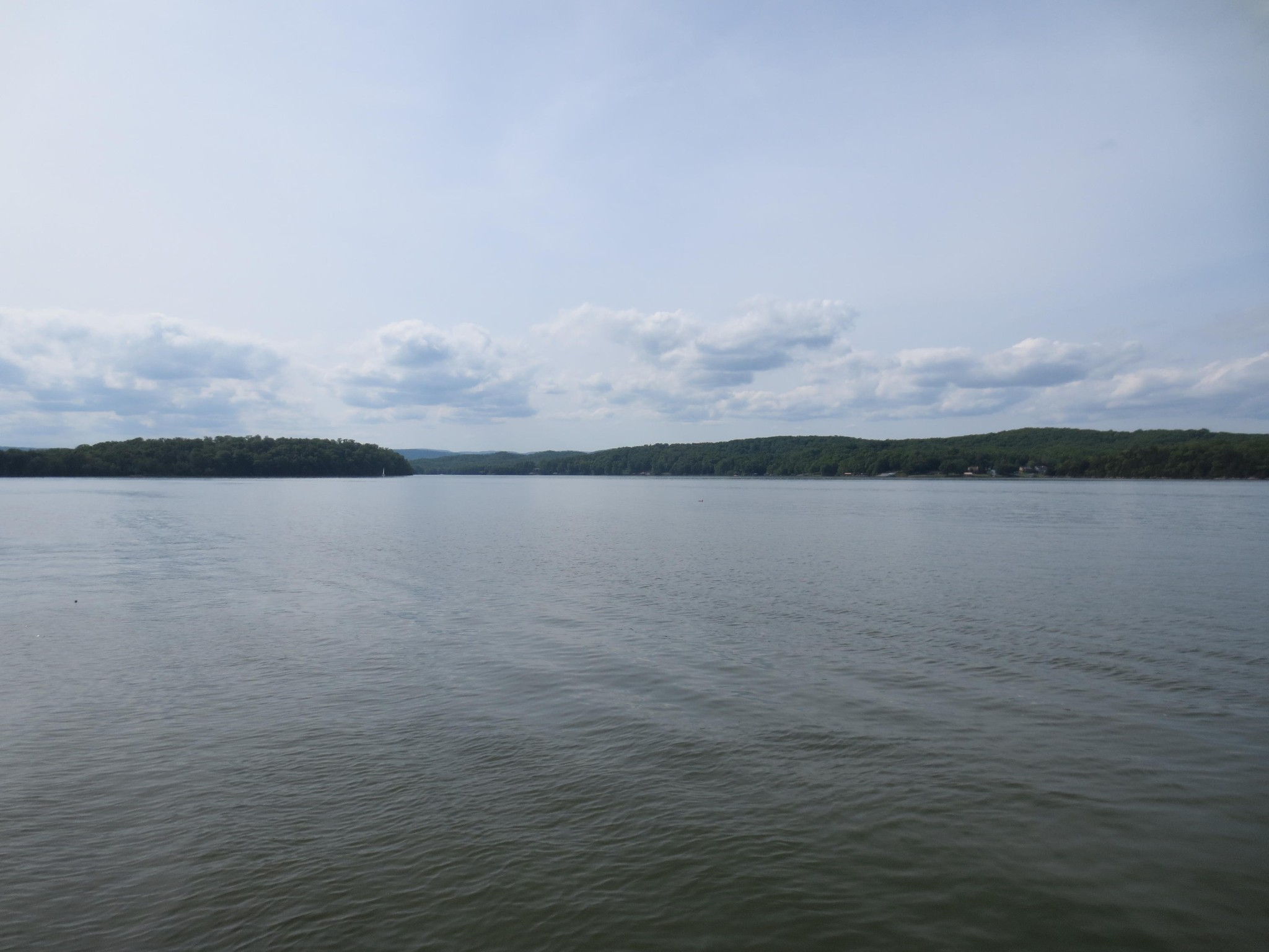 124 Ottawa Point Ten Mile, TN 37880 - Photo 4 of 23