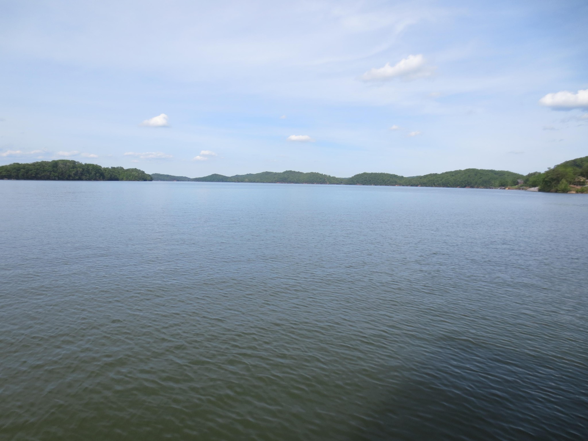 124 Ottawa Point Ten Mile, TN 37880 - Photo 10 of 23