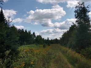 Off Springy Pond Road Ellsworth, ME 04605 - Photo 4 of 6 4