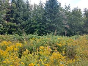 Off Springy Pond Road Ellsworth, ME 04605 - Photo 6 of 6 1