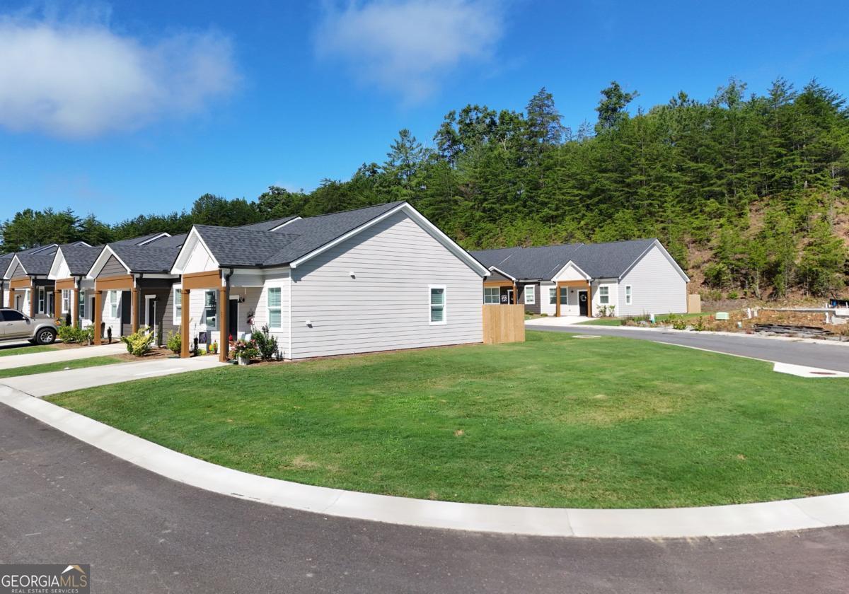 25 Grove Loop, Unit 51 Blue Ridge, GA 30513 - Photo 3 of 38 Gallery Image 3