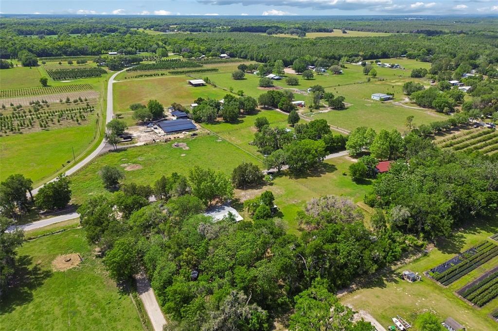 17114 Brittle Road Brooksville, FL 34601 - Photo 50 of 52