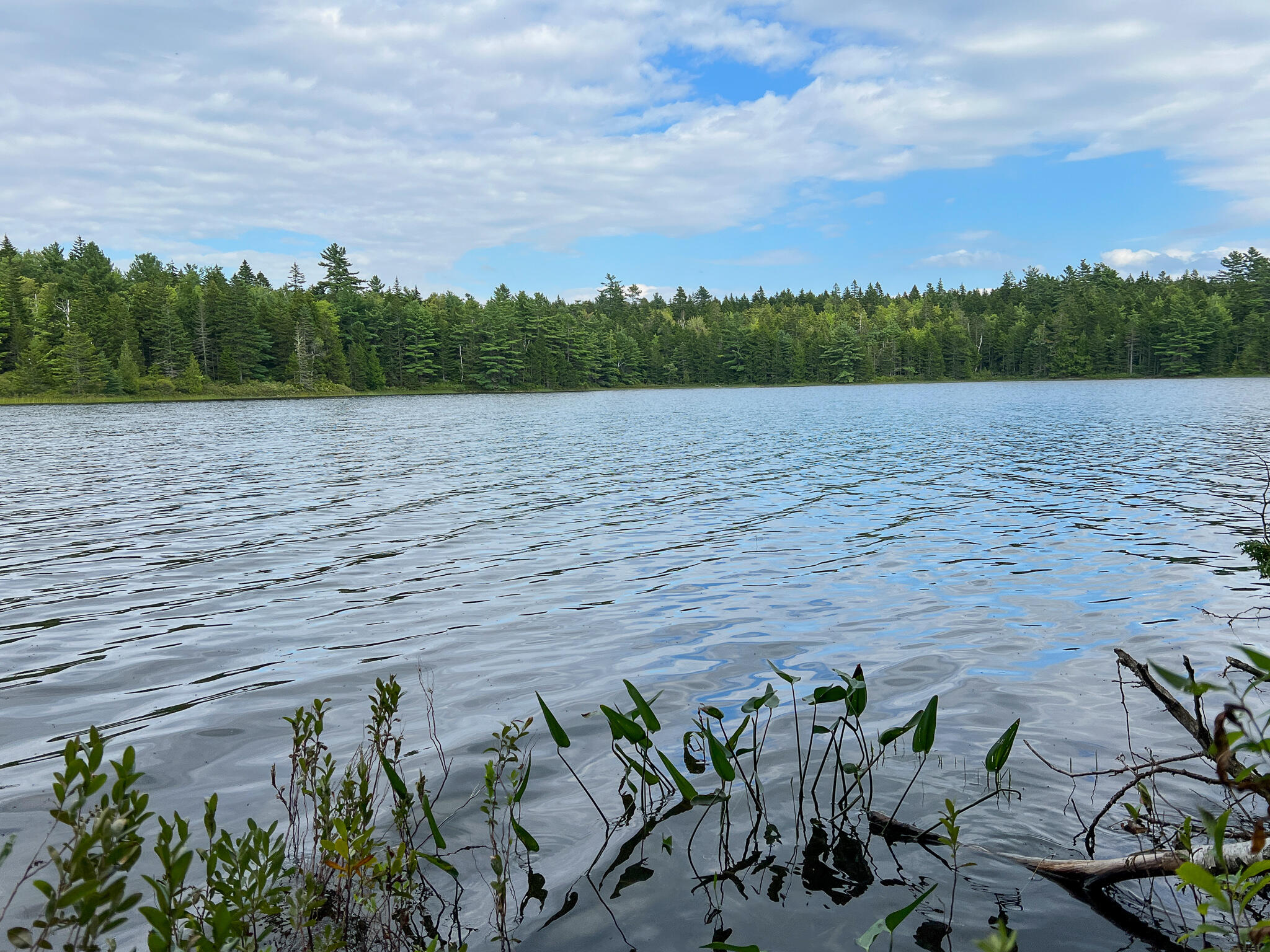 Lot 1 Steam Mill Road Robbinston, ME 04671 - Photo 15 of 24 IMG_0414