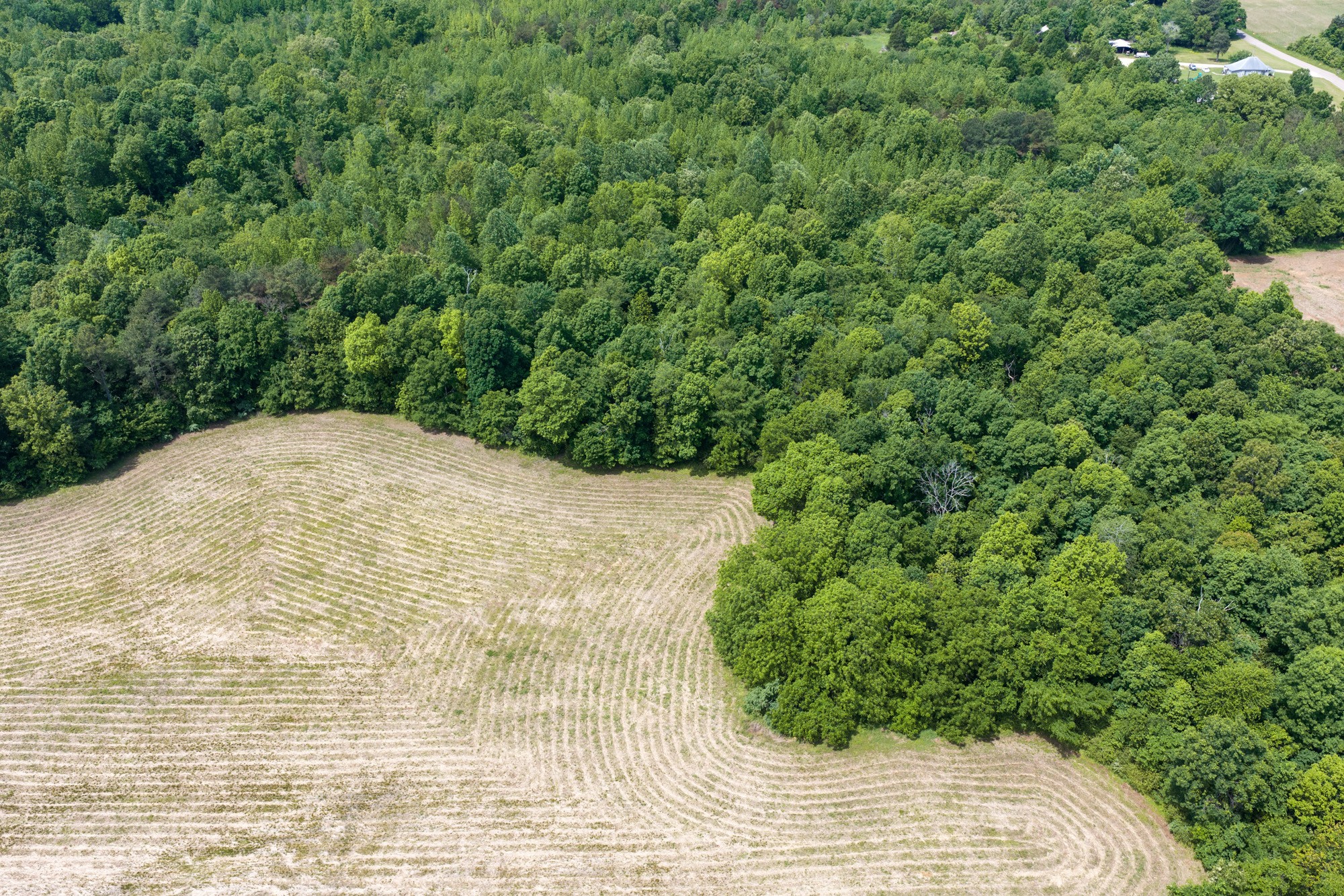 0 Mann Road Hollow Rock, TN 38342 - Photo 8 of 14