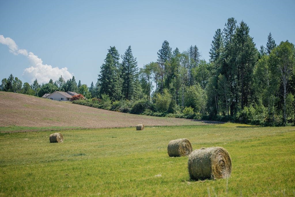 917 B Philpott Road Colville, WA 99114 - Photo 48 of 50