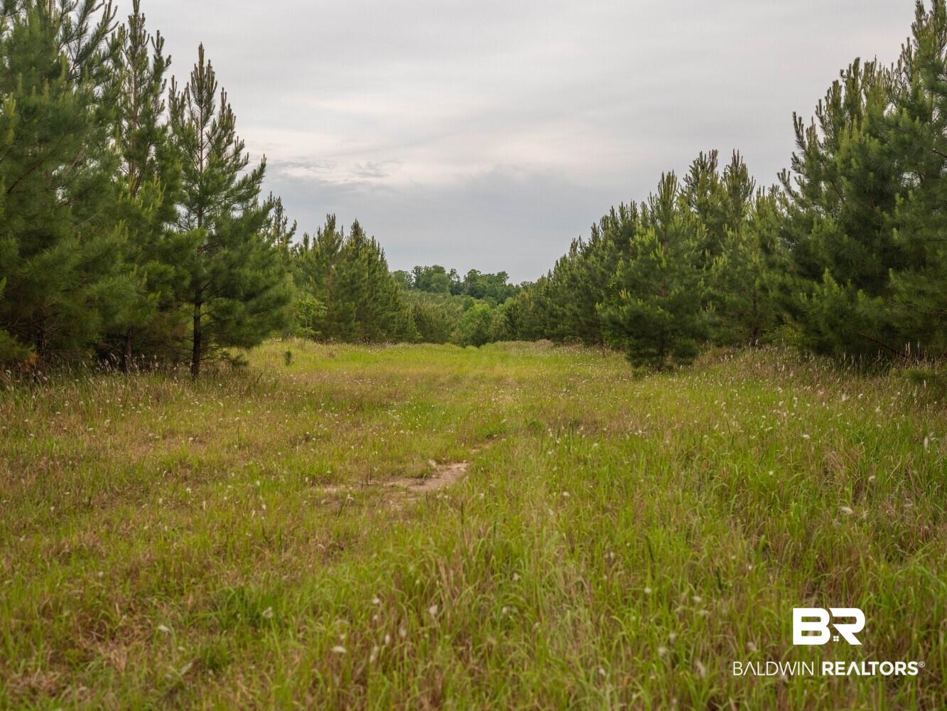 0 Flowers Road Bay Minette, AL 36507 - Photo 36 of 53 Gallery Image 36