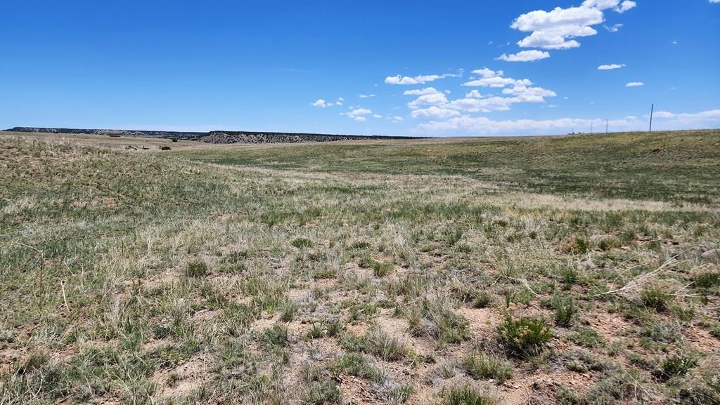 110 County Road 110 Rye, CO 81069 - Photo 37 of 37