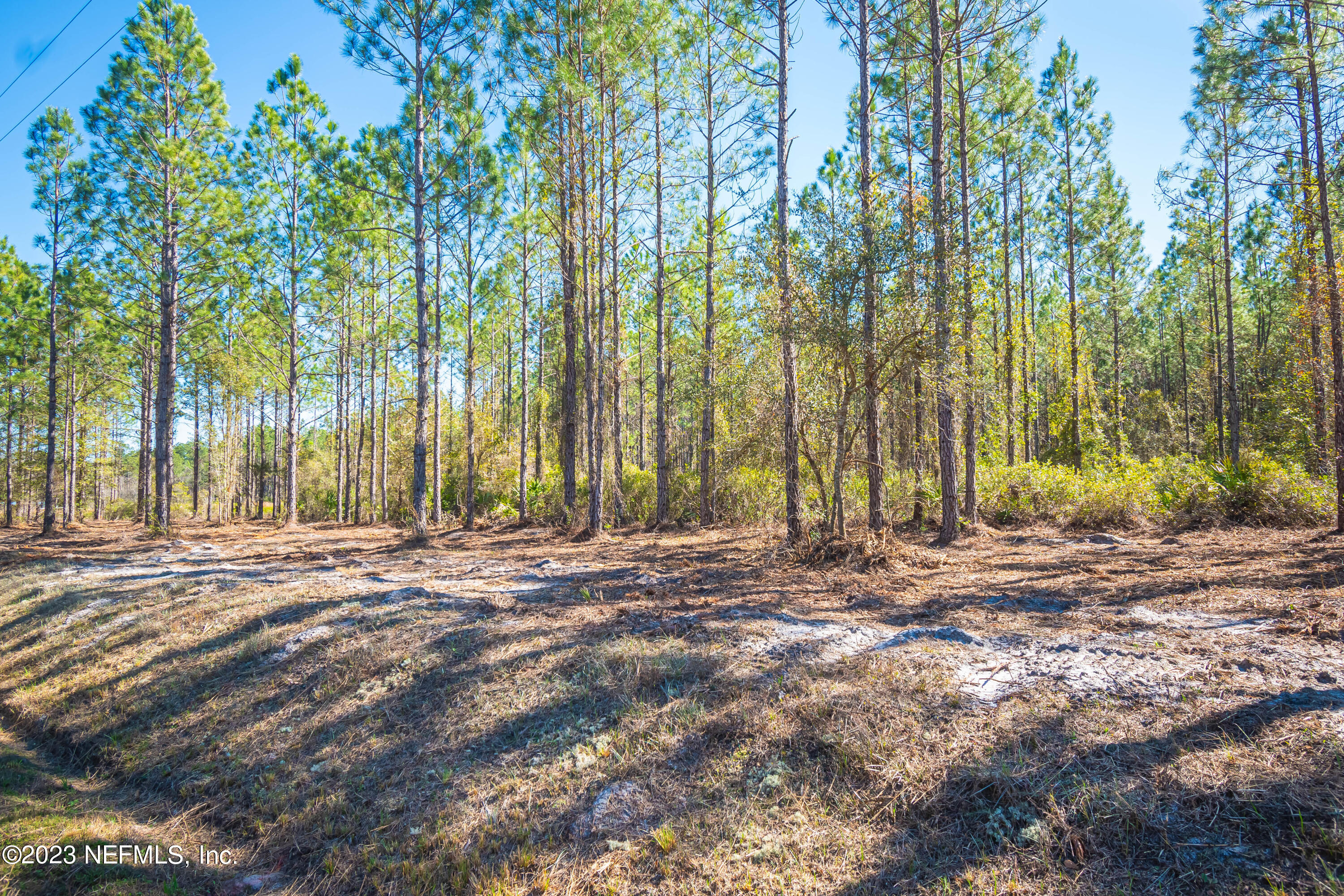 Lot 18 Steel Bridge Road Macclenny, FL 32063 - Photo 3 of 4 untitled-3932