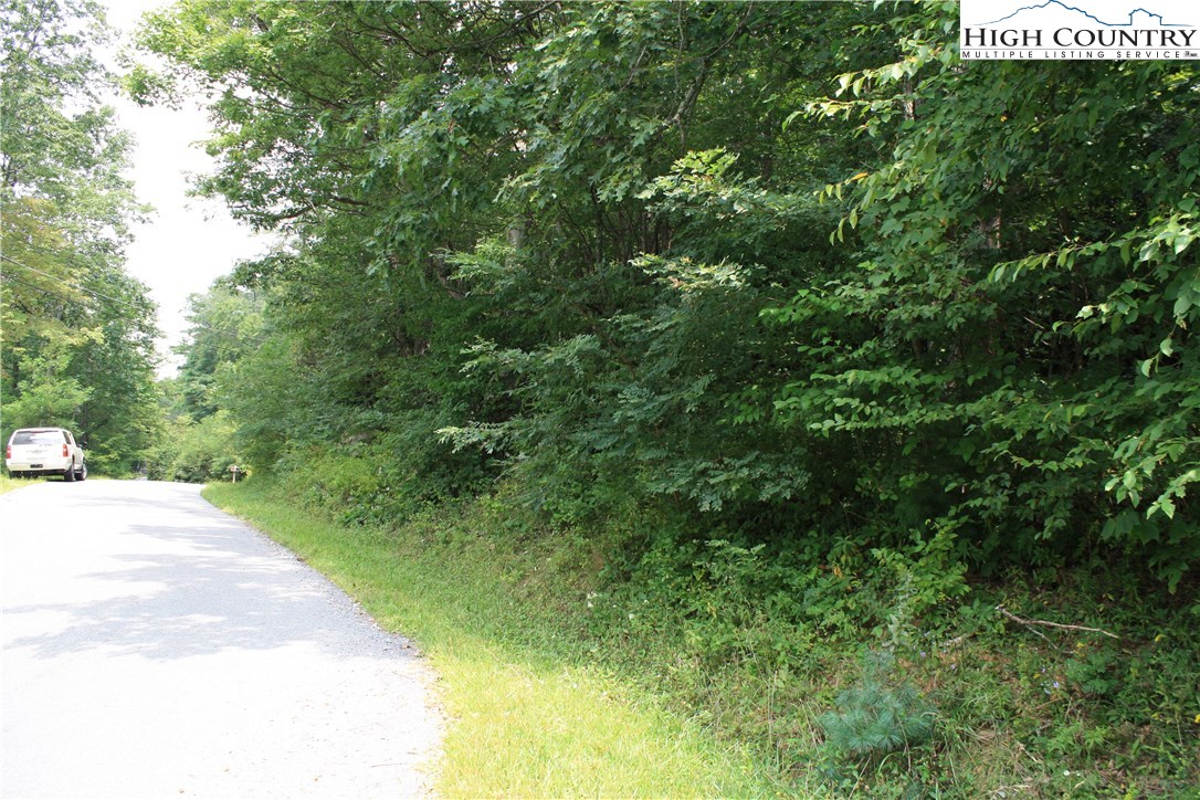 Coffey Knob Road Boone, NC 28607 - Photo 3 of 3 Gallery Image 3