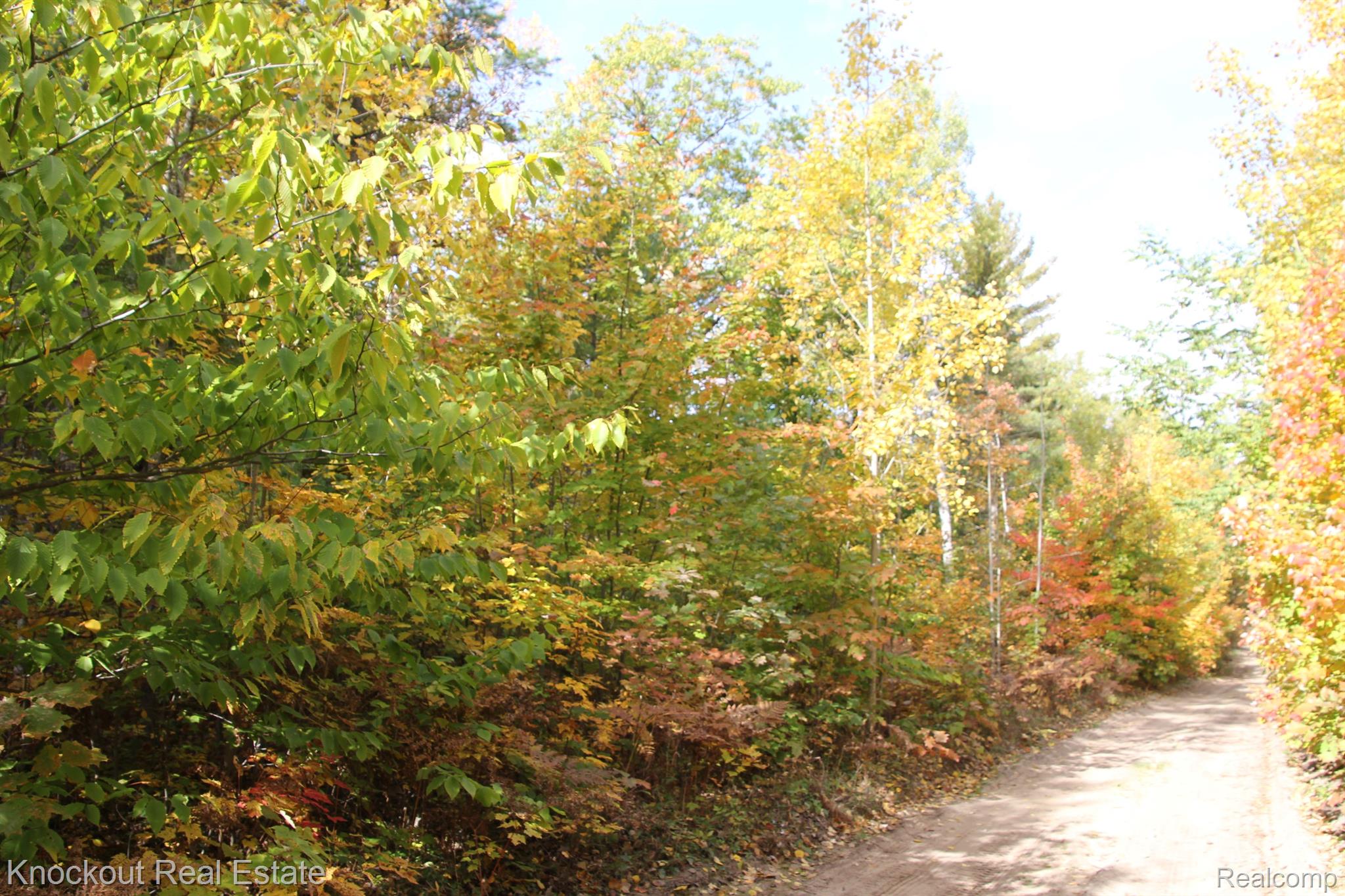0 McCormick Road Cheboygan, MI 49721 - Photo 14 of 14 Gallery Image 14
