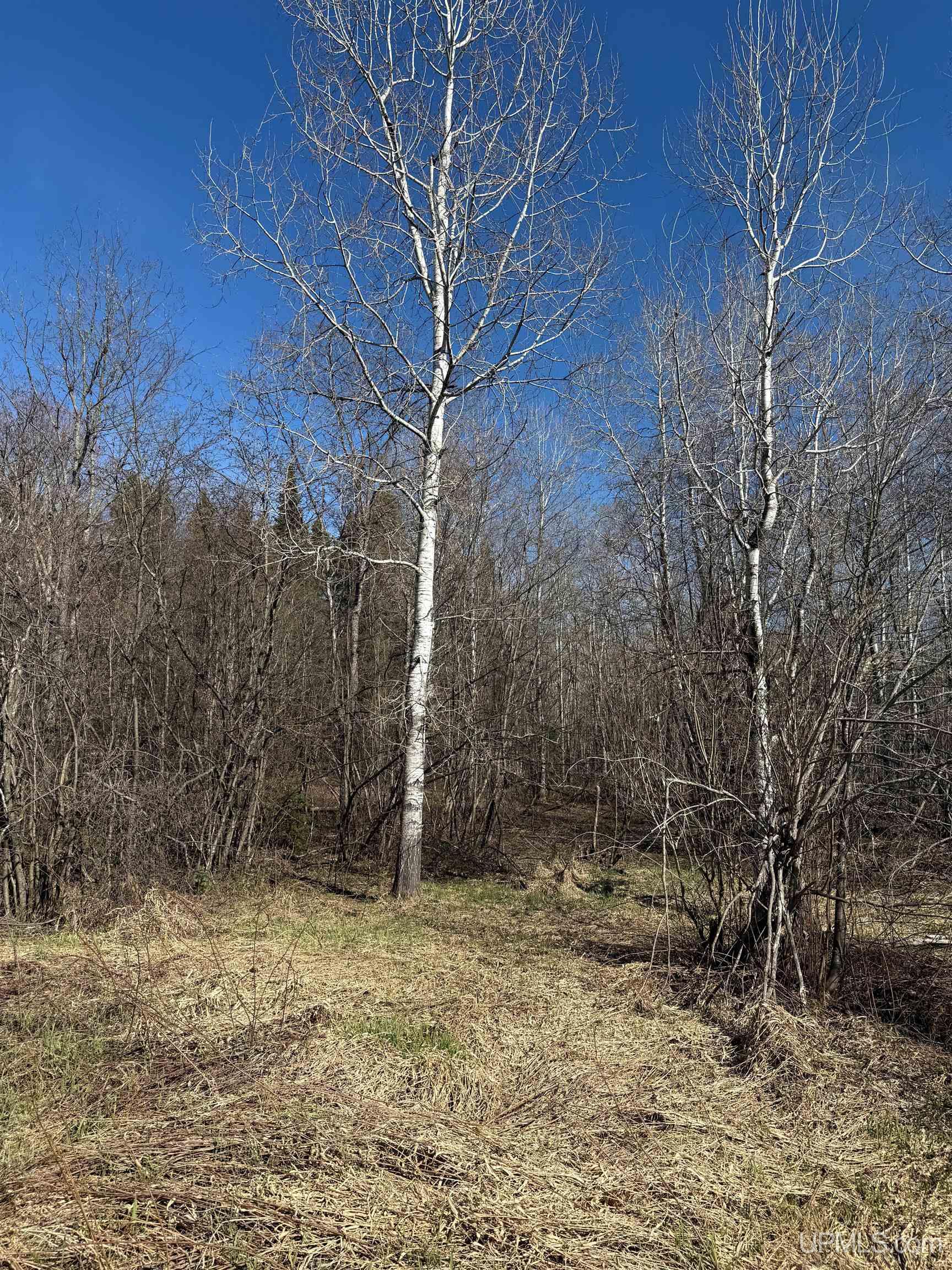 Tbd85 South Sidnaw Road Sidnaw, MI 49961 - Photo 19 of 22