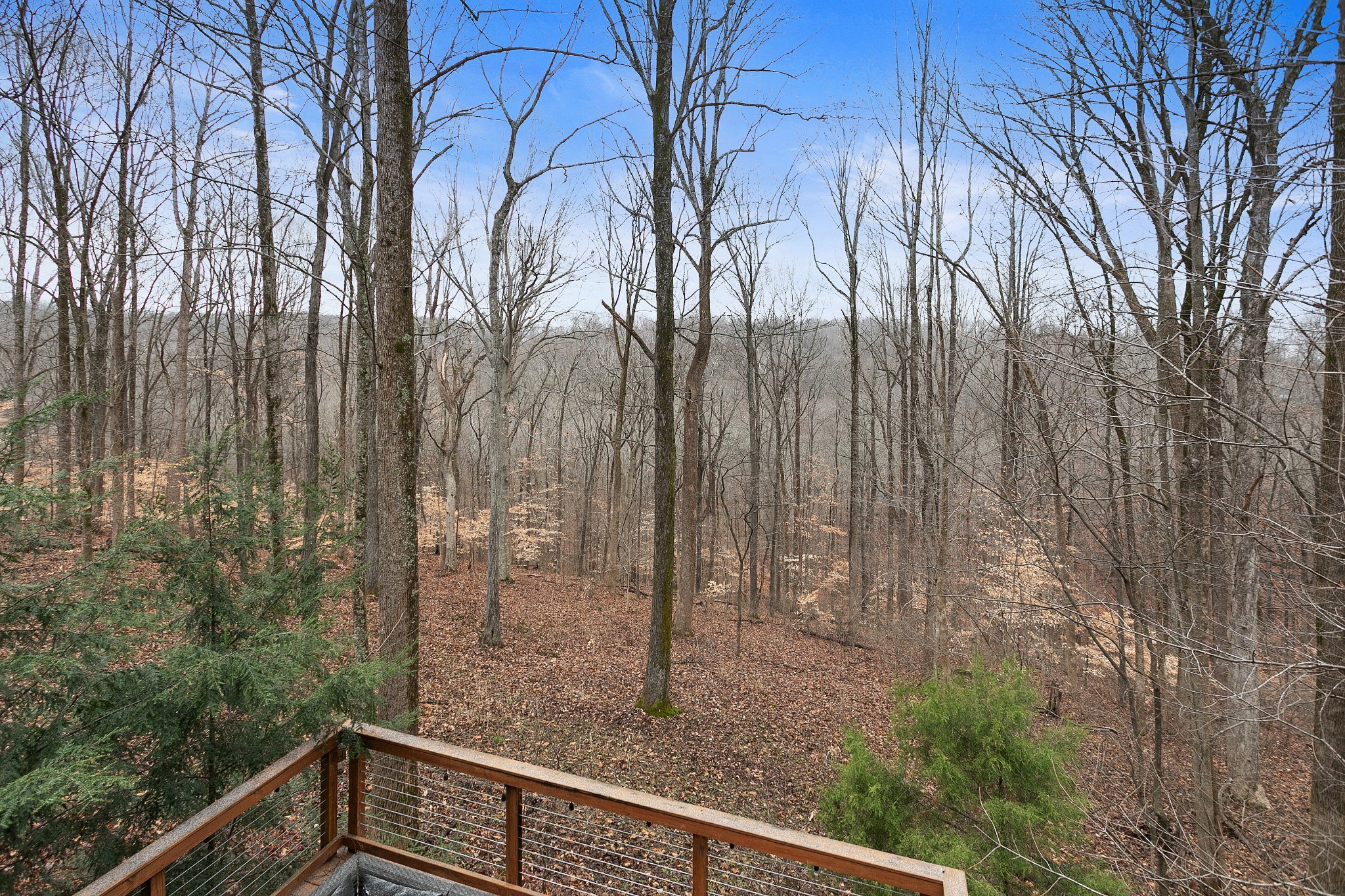 908 High Point Ridge Road Franklin, TN 37069 - Photo 58 of 69