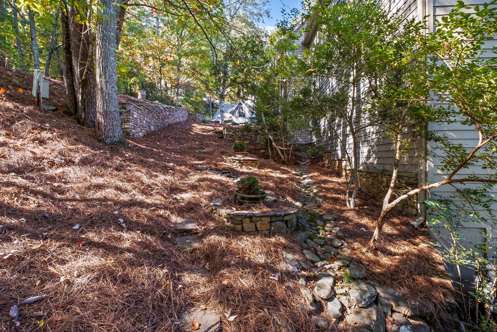 81 Flycatcher Point Big Canoe, GA 30143 - Photo 72 of 83