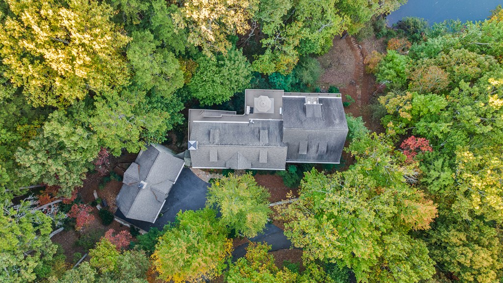 81 Flycatcher Point Big Canoe, GA 30143 - Photo 78 of 83