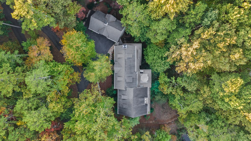 81 Flycatcher Point Big Canoe, GA 30143 - Photo 79 of 83