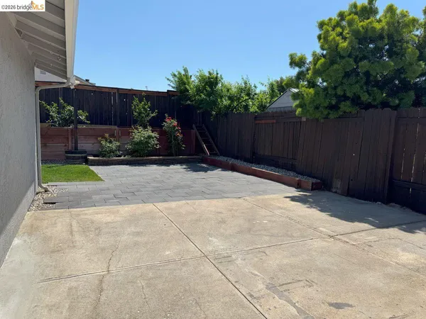 a view of backyard with plants and wooden fence