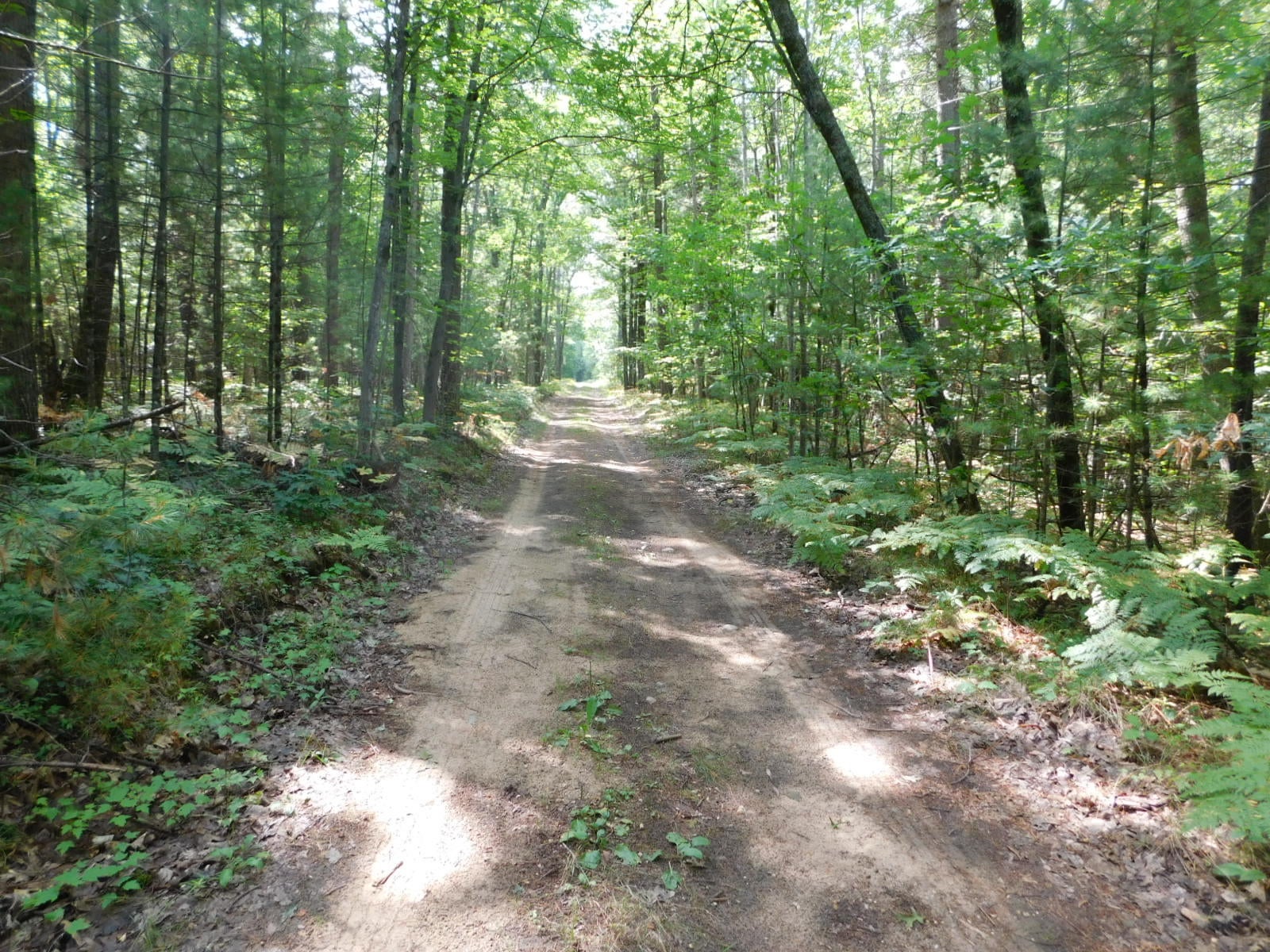 Bell Top Lodge Road Roscommon, MI 48653 - Photo 17 of 18 Gallery Image 17