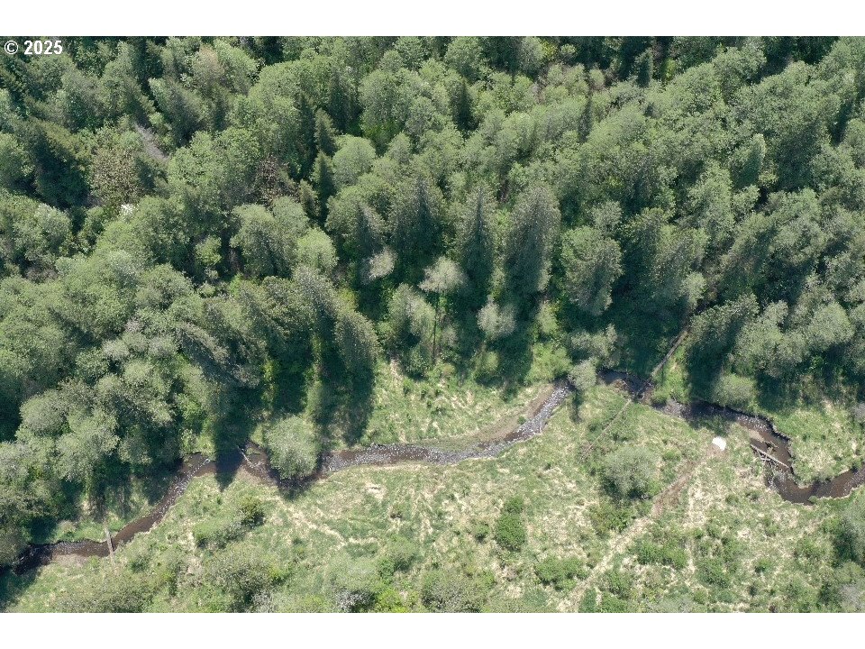 0 Northeast Elliott Road, Unit 65 Yacolt, WA 98675 - Photo 11 of 11 Gallery Image 11