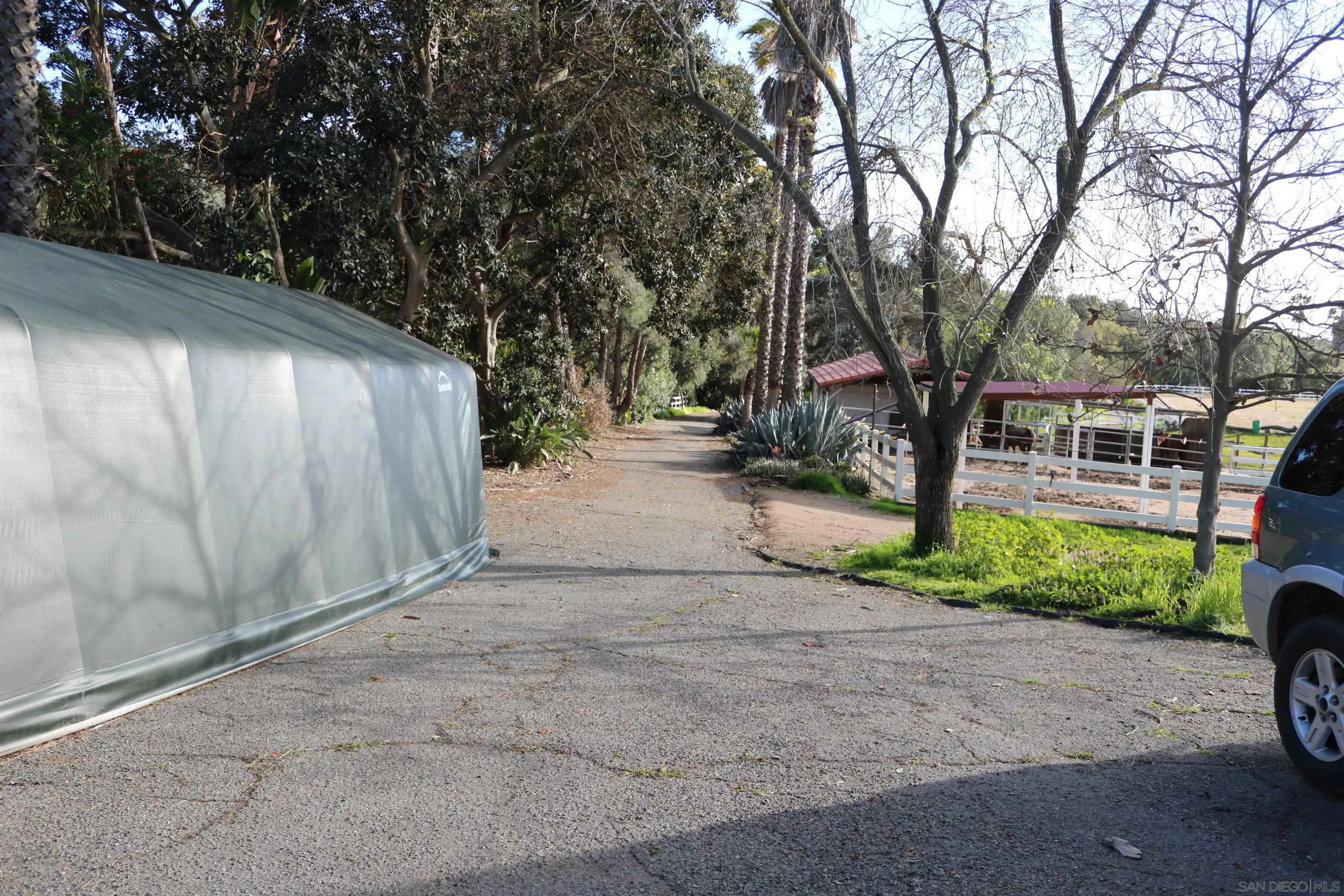 38083 De Luz Road Fallbrook, CA 92028 - Photo 20 of 29 a view of a yard with plants and trees