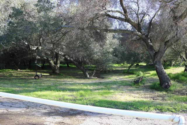 a view of a yard in front of a house
