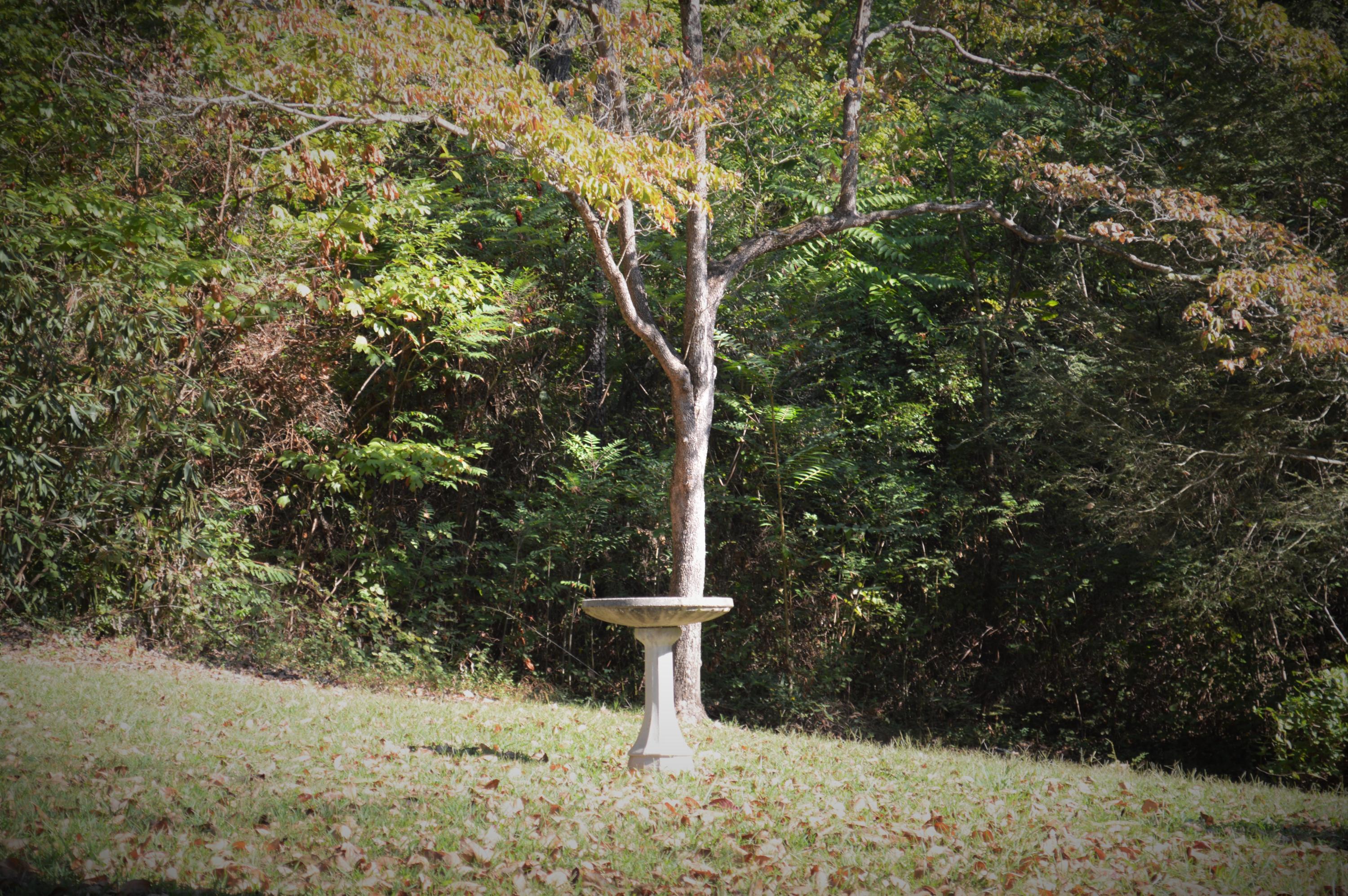 6216 Ricky Allen Road Corryton, TN 37721 - Photo 10 of 32 DSC_0139