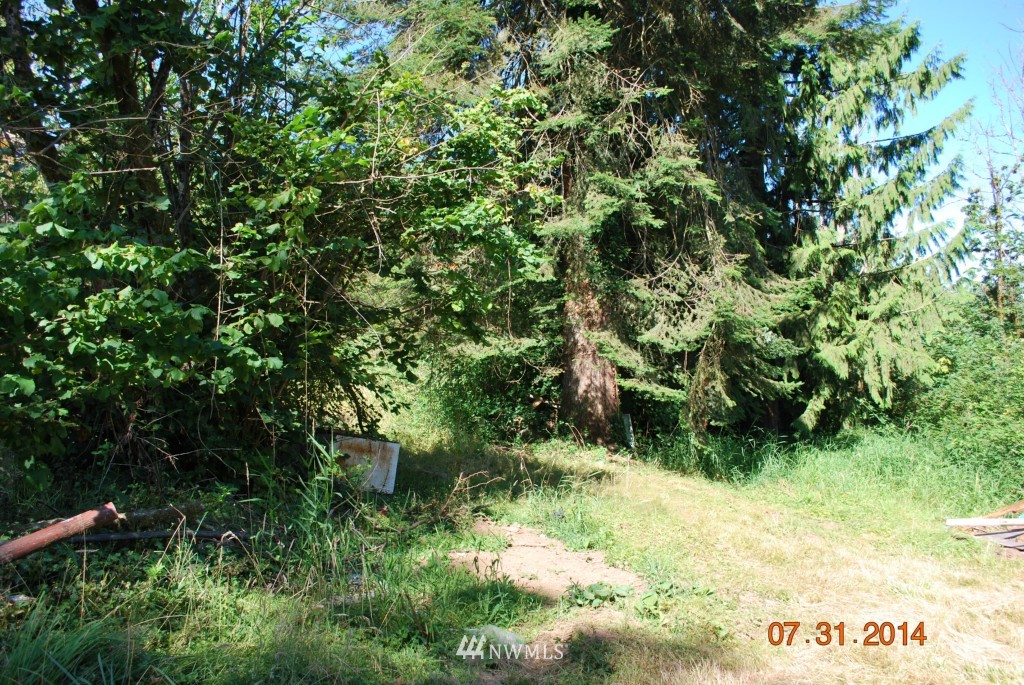 642 Jorgensen Road Onalaska, WA 98570 - Photo 4 of 13