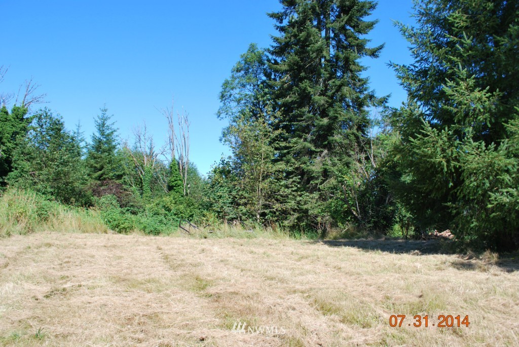 642 Jorgensen Road Onalaska, WA 98570 - Photo 5 of 13