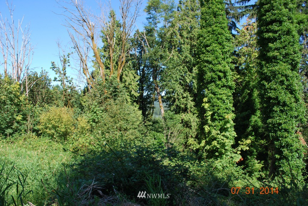 642 Jorgensen Road Onalaska, WA 98570 - Photo 7 of 13