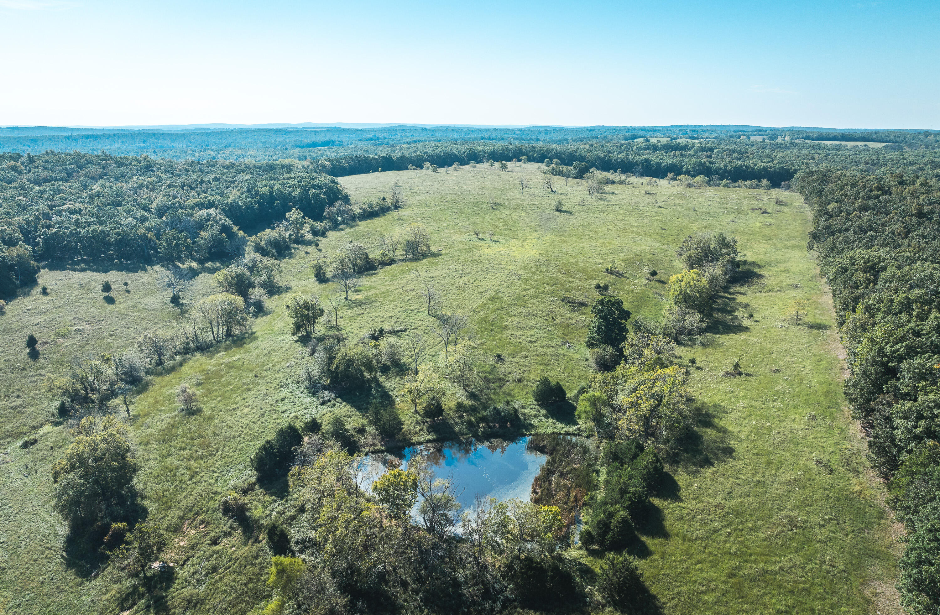 5451 Bado Road Cabool, MO 65689 - Photo 12 of 111 DJI_20240919100443_0199_D