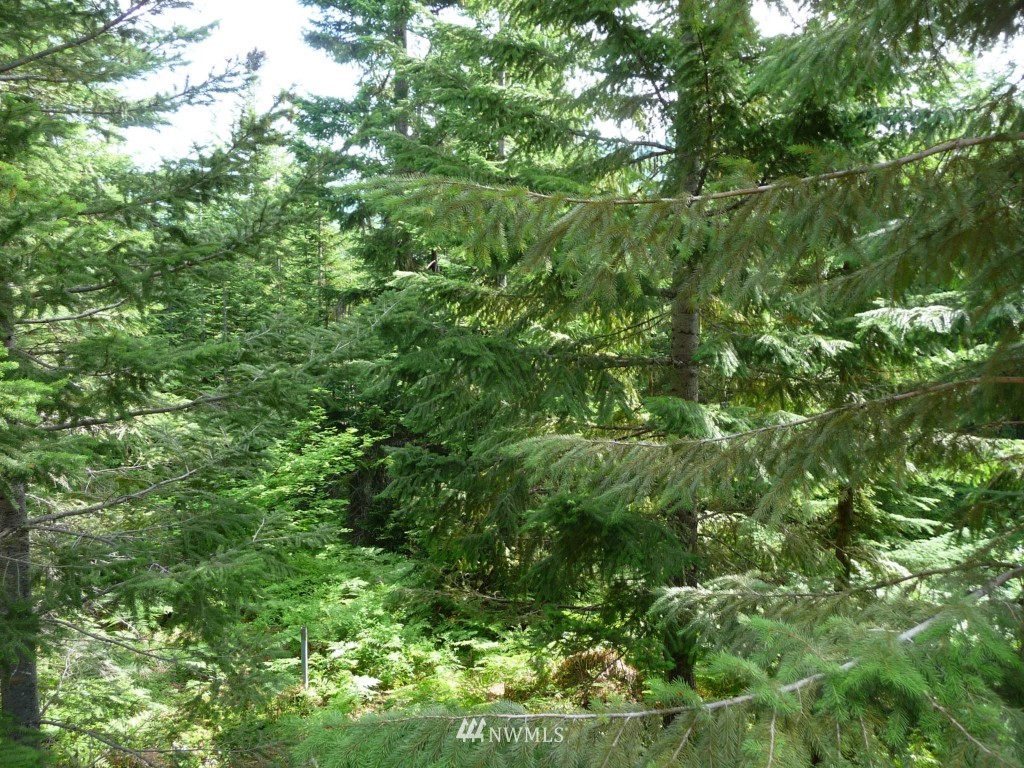 2 Kachess Lake Road Easton, WA 98925 - Photo 2 of 6 Gallery Image 2