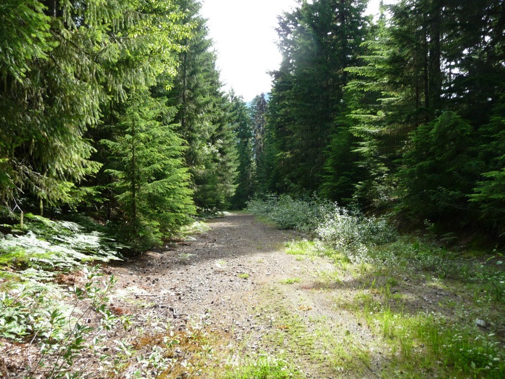 2 Kachess Lake Road Easton, WA 98925 - Photo 4 of 6 Gallery Image 4