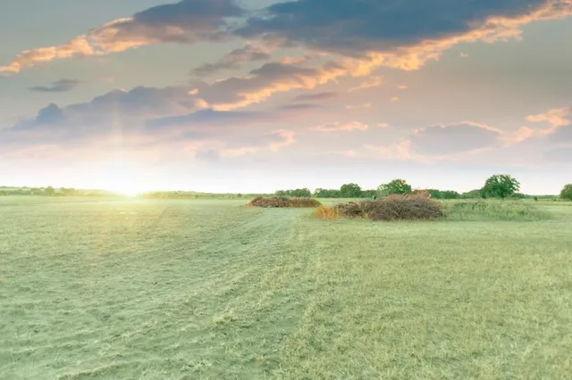 a view of an ocean from a yard