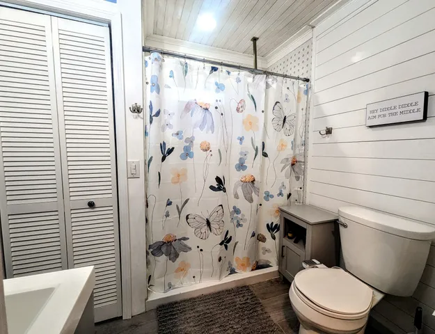 a white toilet sitting next to a shower curtain