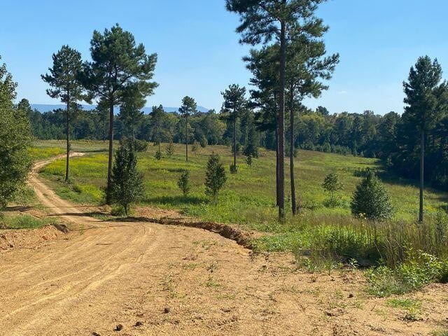 12 Athens Road Delano, TN 37325 - Photo 27 of 28