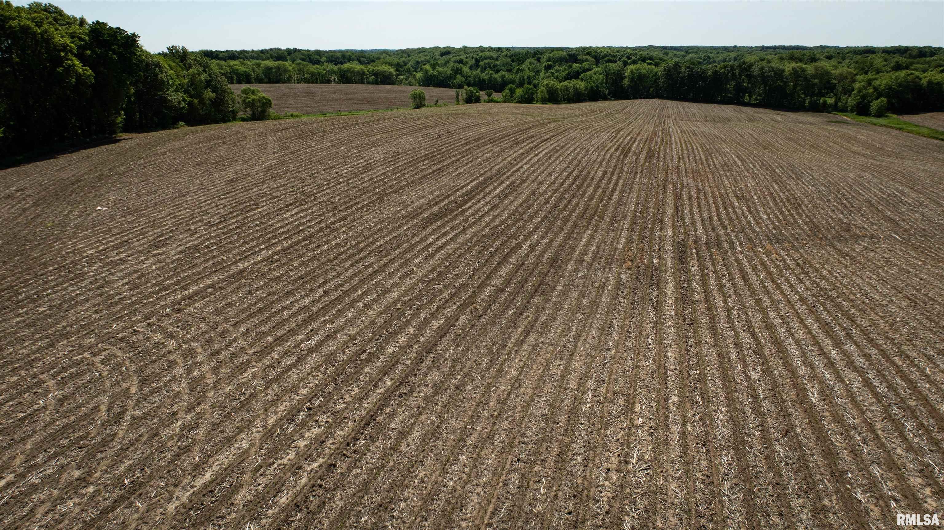 243 Il Route 97 Route Maquon, IL 61458 - Photo 31 of 41