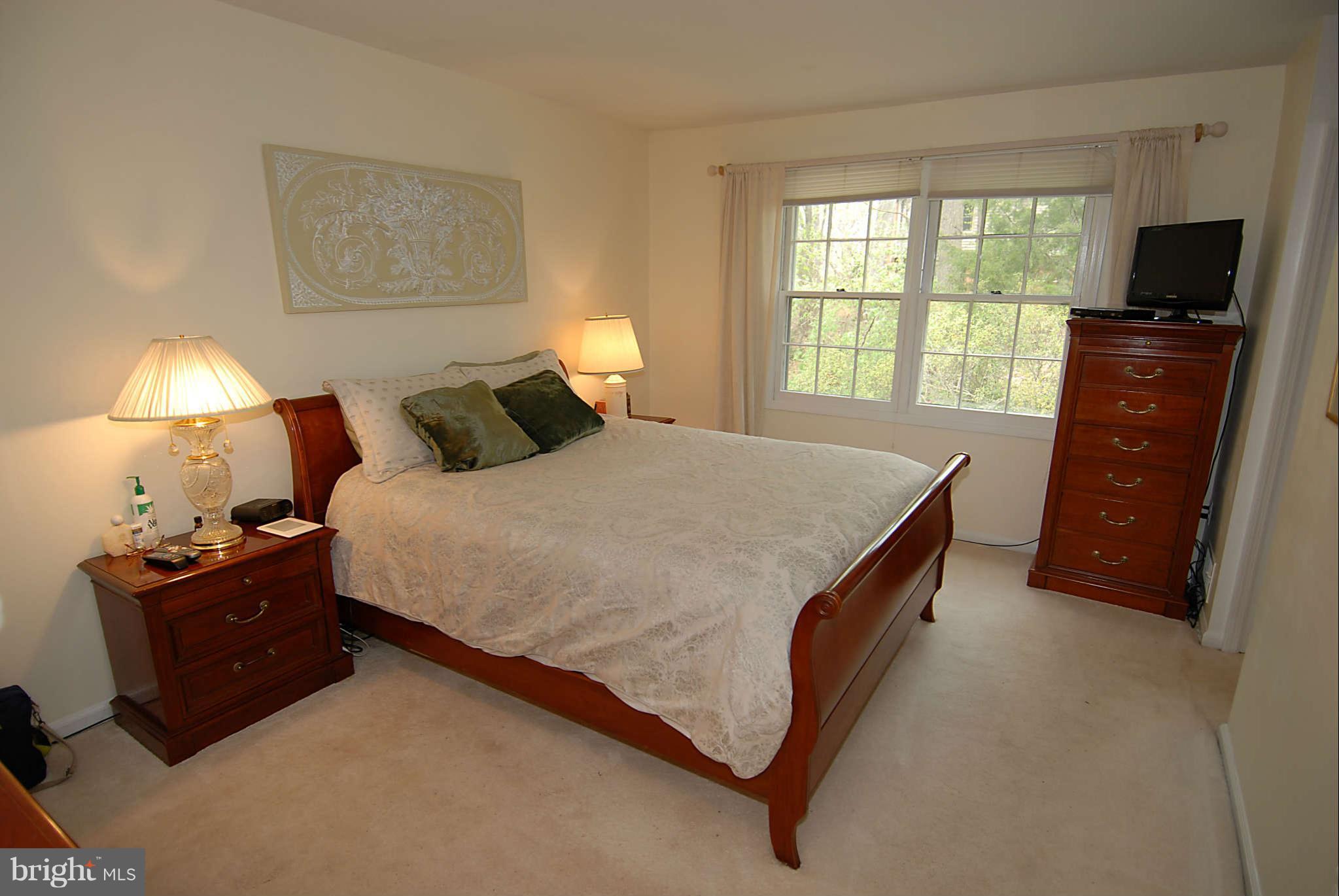 2403 Jackstay Terrace Reston, VA 20191 - Photo 12 of 30 Bedroom (Master)