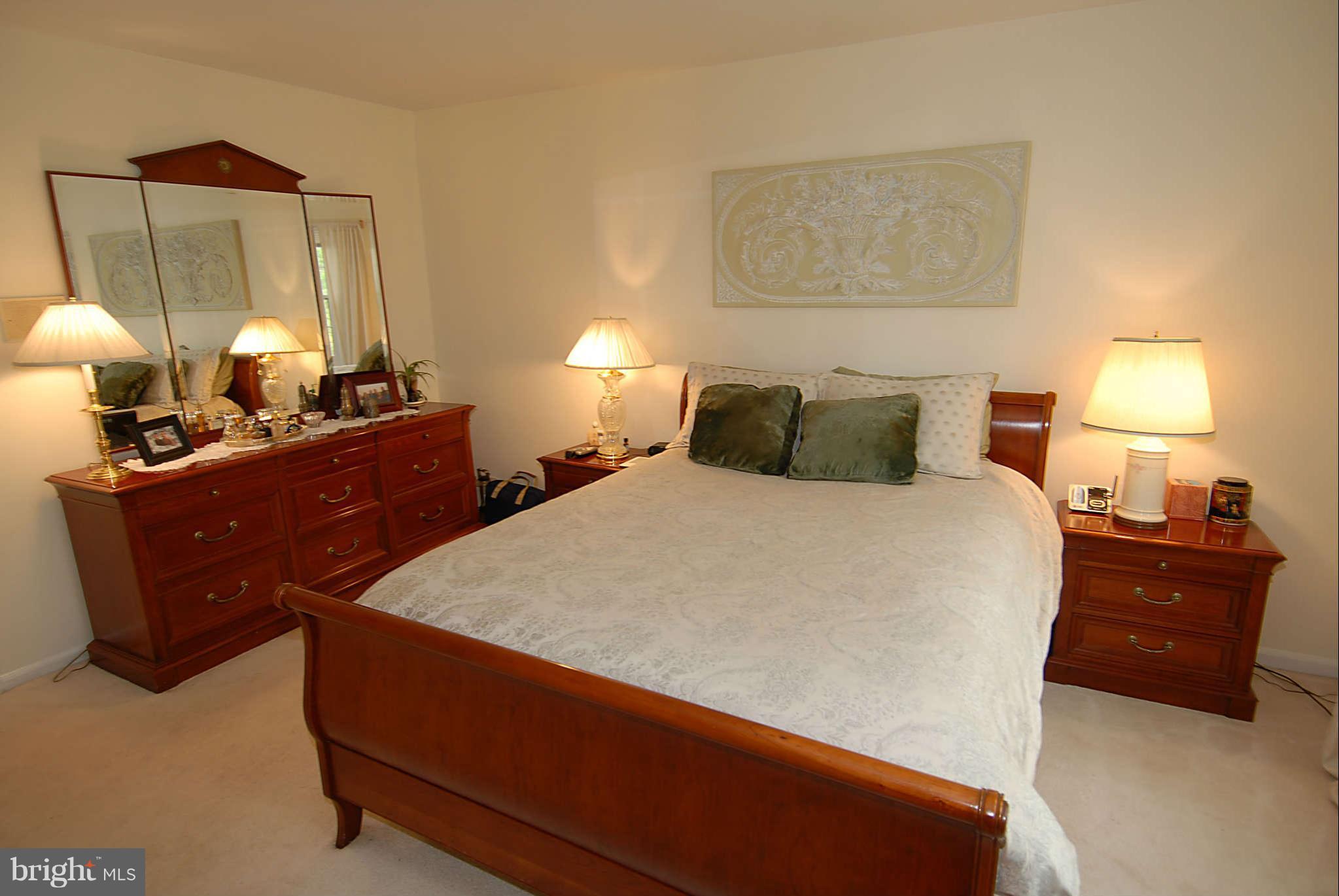 2403 Jackstay Terrace Reston, VA 20191 - Photo 13 of 30 Bedroom (Master)