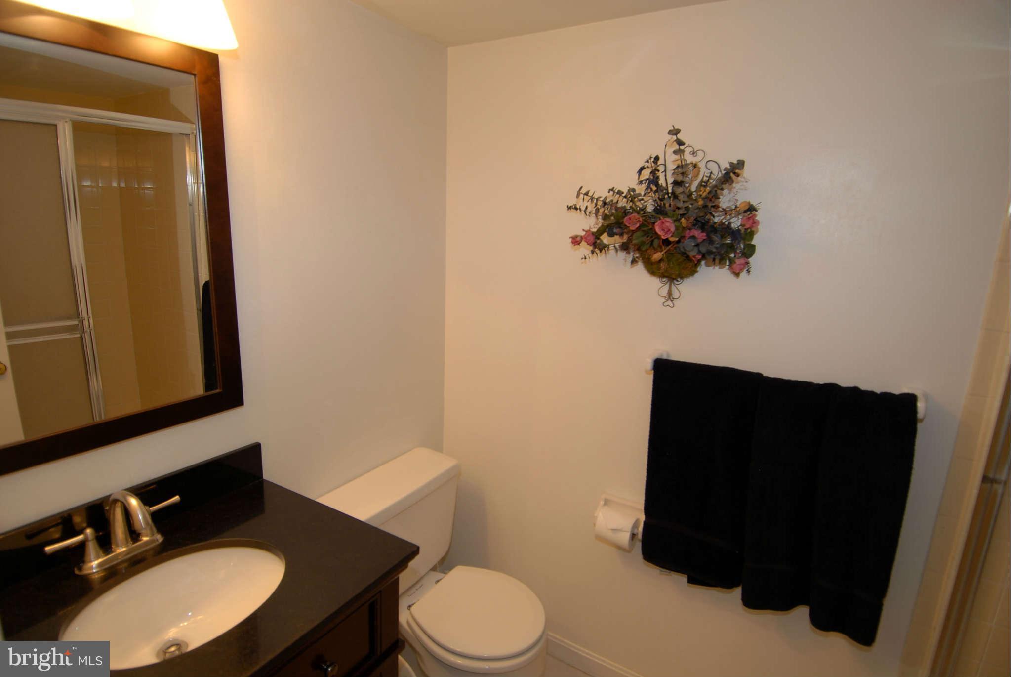 2403 Jackstay Terrace Reston, VA 20191 - Photo 16 of 30 Bath