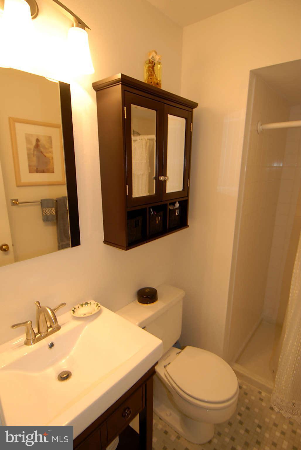 2403 Jackstay Terrace Reston, VA 20191 - Photo 27 of 30 Bath (Master)