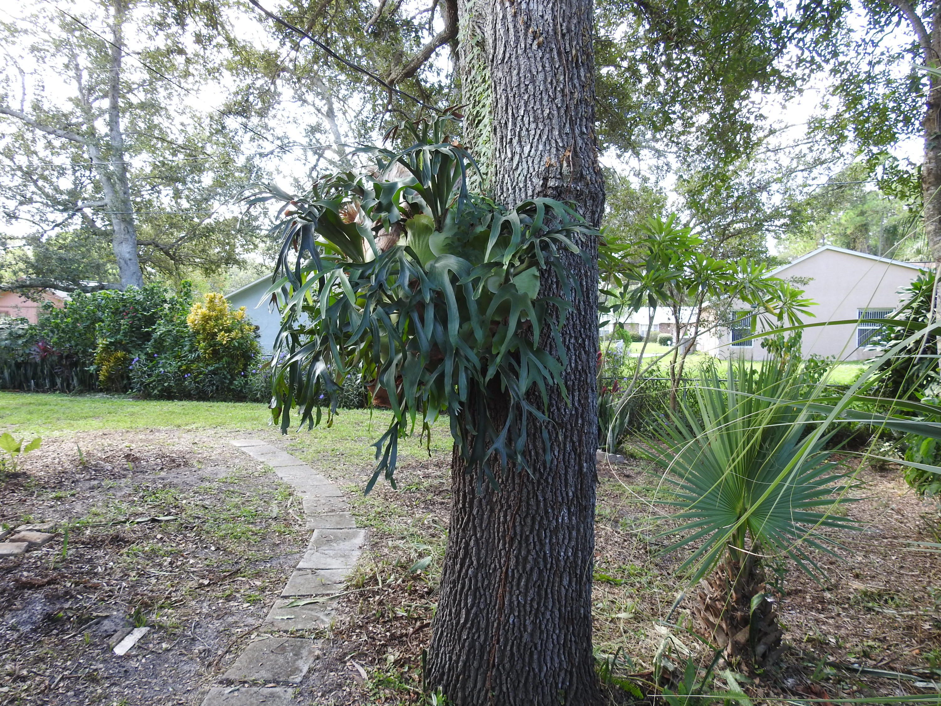 230 Rios Circle Southeast Palm Bay, FL 32909 - Photo 34 of 41 DSCN0995