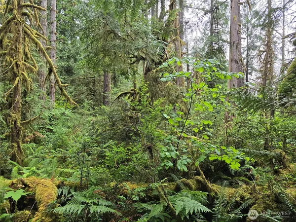 $49,500 | 123 North Highway 101, Shelton, WA 98584