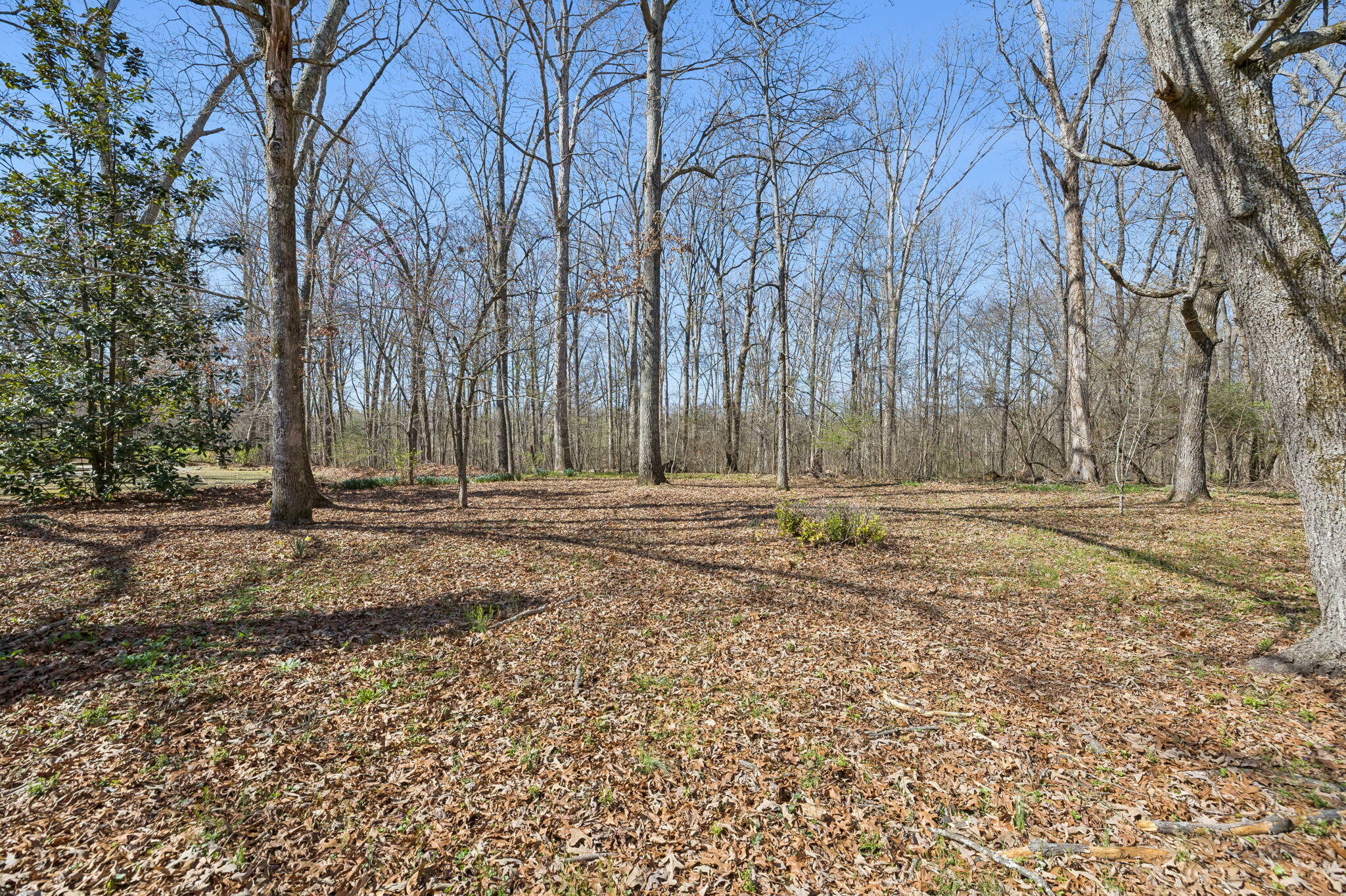 766 Bowling Alley Road Manchester, TN 37355 - Photo 49 of 57 47-766 Bowling Alley Rd - 047