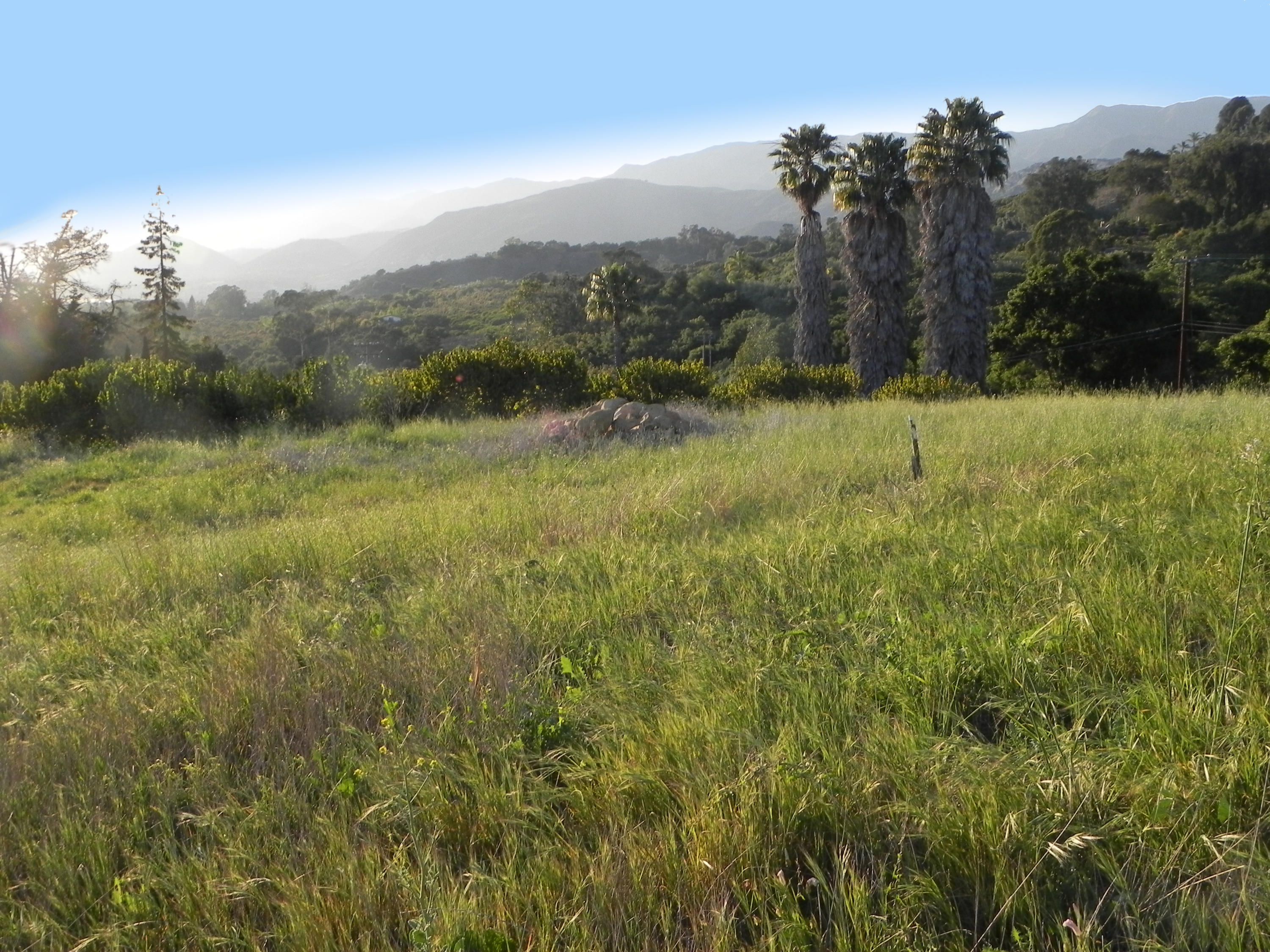 6925 Shepard Mesa Road Carpinteria, CA 93013 - Photo 2 of 17 2