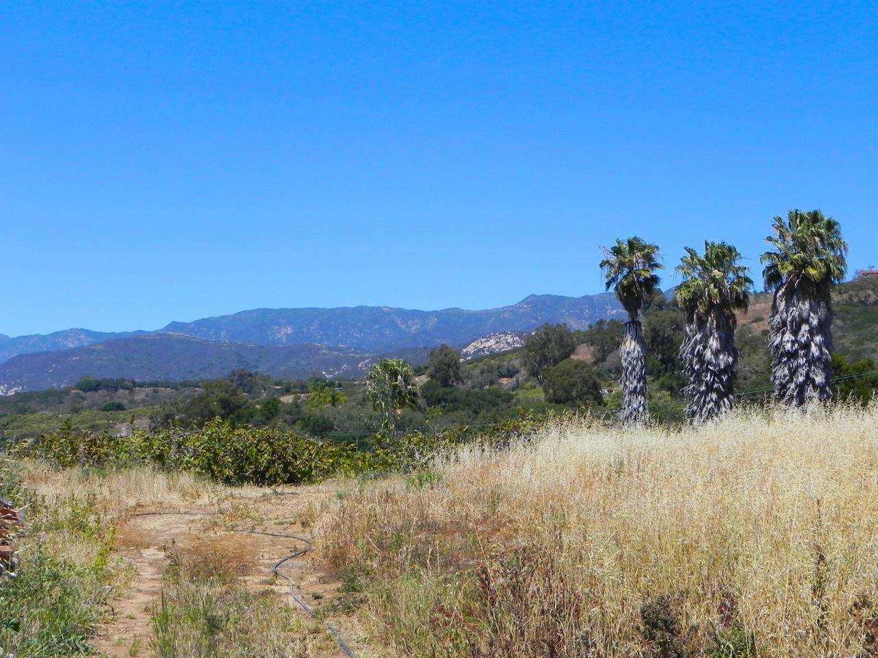 6925 Shepard Mesa Road Carpinteria, CA 93013 - Photo 5 of 17 5